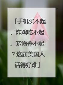 手机买不起、炸鸡吃不起、宠物养不起？这届美国人活得好难